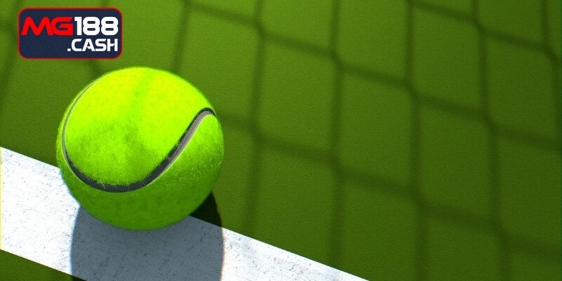 Bật mí kinh nghiệm cá cược tennis săn thưởng khủng