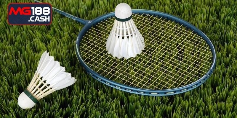 Luật chơi cầu lông