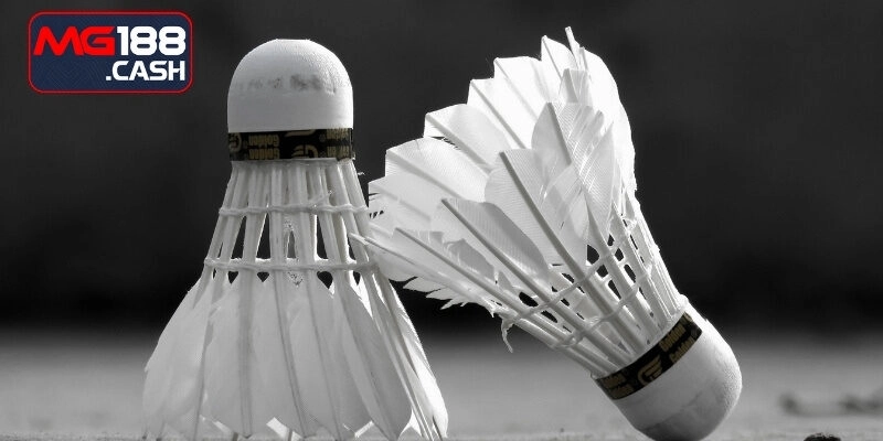 Cá cược cầu lông là gì?